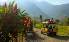 A yellow off-road vehicle with kayaks on top travels on a dirt road through a lush valley towards the mountains, framed by vibrant red flowers.