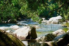 A river runs through a landscape of green trees and large rocks.