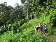 A group of people are hiking through a lush green jungle trail with backpacks, showcasing the rugged beauty of the Port Moresby area.