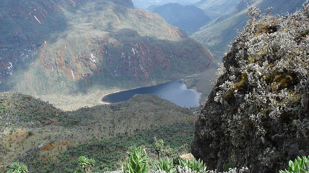 DRCongo Side - Rwenzori Mountains Trekking (from Kisangani or Goma)