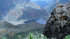 Trekking The Rwenzori Mountains from the DRC