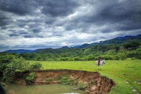 Hato La Aurora Nature Reserve A scenic shot of a horse rider on a green field near a river under a cloudy sky.