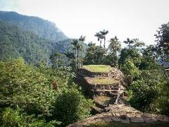 A lush, green landscape showcases ancient stone ruins rising amidst the dense foliage of a tropical forest.