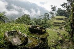 A tranquil scene shows ancient stone structures nestled in lush, green foliage against a backdrop of misty mountains.