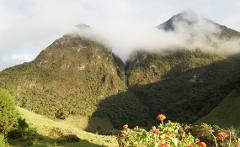 Majestic mountains rise above a lush green valley with a waterfall cascading between them, partially shrouded in clouds, and vibrant red flowers in the foreground.