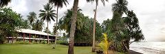 Malolo Plantation Lodge (Madang) Panoramic shot of Malolo Plantation Lodge, a beachfront resort, nestled amidst lush greenery and palm trees under an overcast sky.