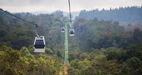 Medellín Cultural & Nightlife Experience (3 Days / 2 Nights) Three cable cars traverse a lush, forested mountain landscape under a cloudy sky.