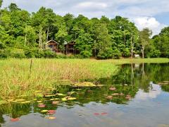 A serene lakeside scene featuring lily pads on the water and two cabins nestled among lush trees on the shore.