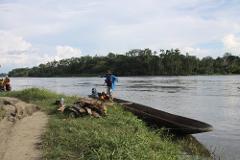 A man in a blue jacket and hat jumps from a boat onto a grassy riverbank next to a pile of wood, with a wide river and lush green trees in the background.