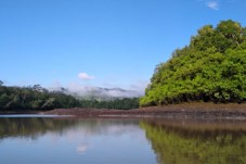 Darien Gap, Rainforest, and Culture from Panama A serene lake reflects the lush, green foliage of the surrounding forest under a clear blue sky with a hint of distant mountains peeking through the trees.