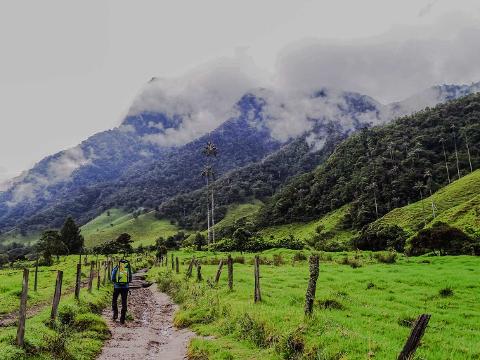 A True Andean Experience - Los Nevados National Park A person hikes down a muddy path in a green valley, surrounded by a wire fence and lush hills leading to a mountain partially covered in clouds.