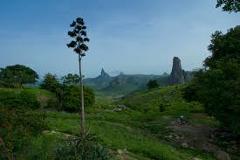 A scenic landscape features verdant hills, unique rock formations in the background, and an unusual tall, slender tree in the foreground, all beneath a clear, bright sky.