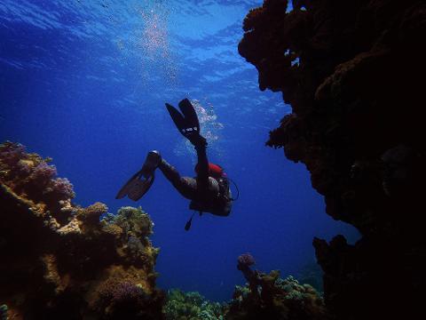 A scuba diver floats in deep blue water amidst coral formations, bubbles rising towards the surface, creating a stunning underwater scene.