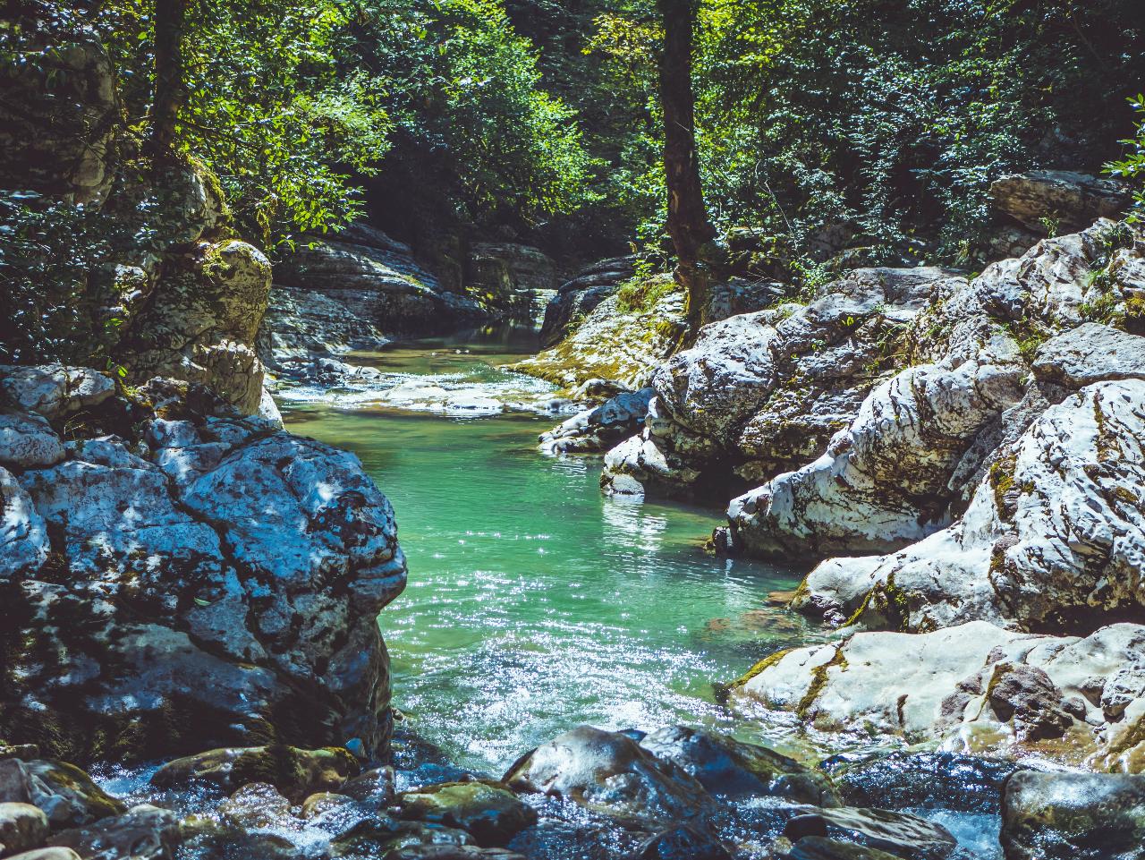 Day Tour to Melcocho River