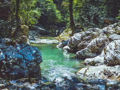 A vibrant river flows through a rocky canyon surrounded by lush green trees.