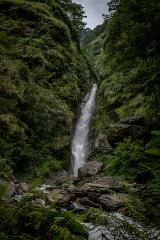 A scenic waterfall plunges down a lush green cliff into a rocky stream, surrounded by vibrant ferns and a cloudy sky.