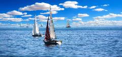 A beautiful, sunny day on the water, featuring several sailboats scattered across the blue sea under a bright blue sky filled with fluffy white clouds.