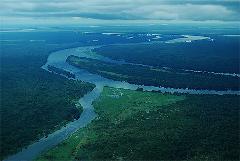 Pygmy Villages, Congo River, and Deep Jungles Pygmy Villages, Congo River, and Deep Jungles