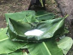 A pile of banana leaves holds a basin-like structure made of more leaves, filled with a white liquid, likely coconut milk, possibly for cooking.