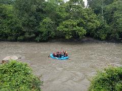 A blue raft filled with people wearing helmets and holding paddles floats down a muddy river surrounded by lush green trees.