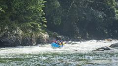 A group of people in a blue raft navigates through the white water rapids of a river, surrounded by lush green vegetation.