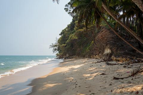 A serene beach with turquoise waters and lush green trees lining a sandy shore, under a clear sky.