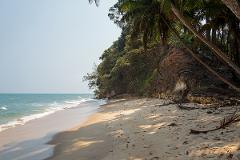 A serene beach with turquoise waters and lush green trees lining a sandy shore, under a clear sky.