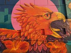 A vibrant mural on a brick wall depicts an orange and yellow eagle head with flowers, set against a pink circle and a cityscape background.