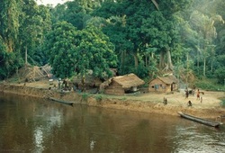Congo Culture, Forests, and Villages Overnight Tour