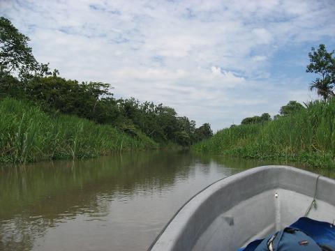 A boat navigates through a narrow river channel bordered by lush green vegetation under a cloudy sky, likely on the Sepik River.