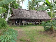 A stilt house with a thatched roof stands in a grassy area, surrounded by lush tropical vegetation, with palm trees visible in the background.