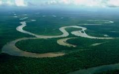 Cheapest Possible Sepik Tour Certainly! Here's a description of the image:The image shows an aerial view of a winding river flowing through a dense, lush green rainforest, likely the Sepik River in Papua New Guinea.