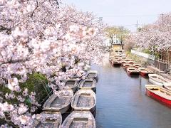 12-Day Guided Cultural Trip to Kyushu