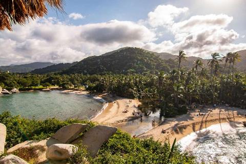 Tayrona National Park Private Luxury Tour (3 Days / 2 Nights) A secluded tropical beach with lush green hills and palm trees, a small river flowing into the ocean, and a few people enjoying the sun and water.