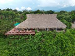 Here's a description of the image:A building with a thatched roof and a wooden deck sits amidst dense green vegetation, with mountains visible in the background.
