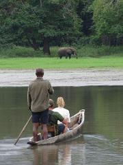 People in a canoe observe an elephant in a grassy clearing near a forest in Gabon.