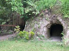 A lush, green landscape features a dark, cave-like opening in a moss-covered rock formation.