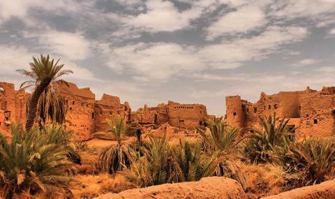 A landscape showcasing an ancient mud-brick village ruins with palm trees beneath a cloudy sky, bathed in warm, earthy tones.