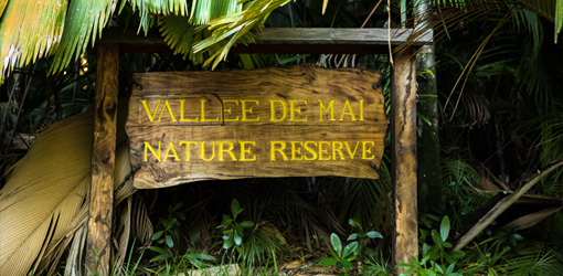 UNESCO World Heritage Site - Vallée de Mai- Half Day (Group Tour)