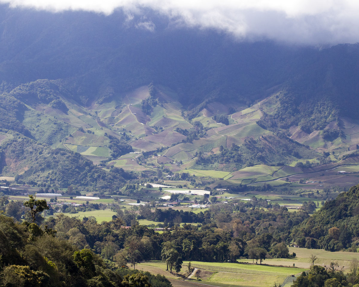 Chiriqui Cloudforest Getaway