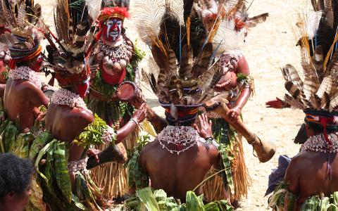 A group of people in Papua New Guinea are performing a traditional dance, adorned with feathers, face paint, shells, and leaves.