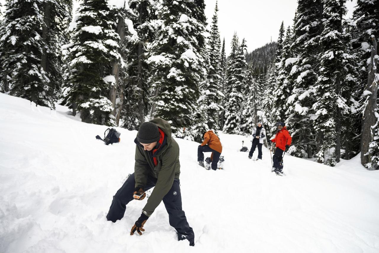 Avalanche Skills Training 1 (AST 1) Snowshoe - Whistler