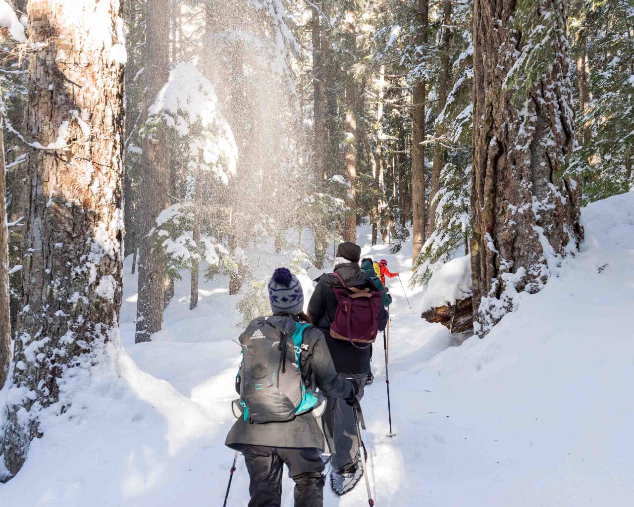 Private Half Day Snowshoe Guide