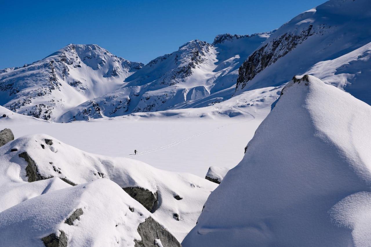 Backcountry Taster