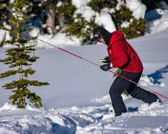 Avalanche Skills Training 1 (AST 1) Snowshoe - Whistler