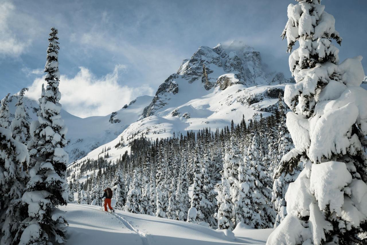 Duffey Lakes Backcountry Ski and Splitboarding Tour