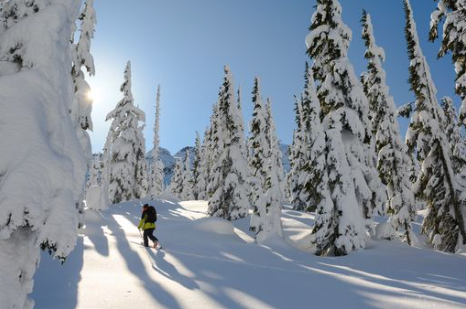 Intro to Backcountry Skiing and Splitboarding