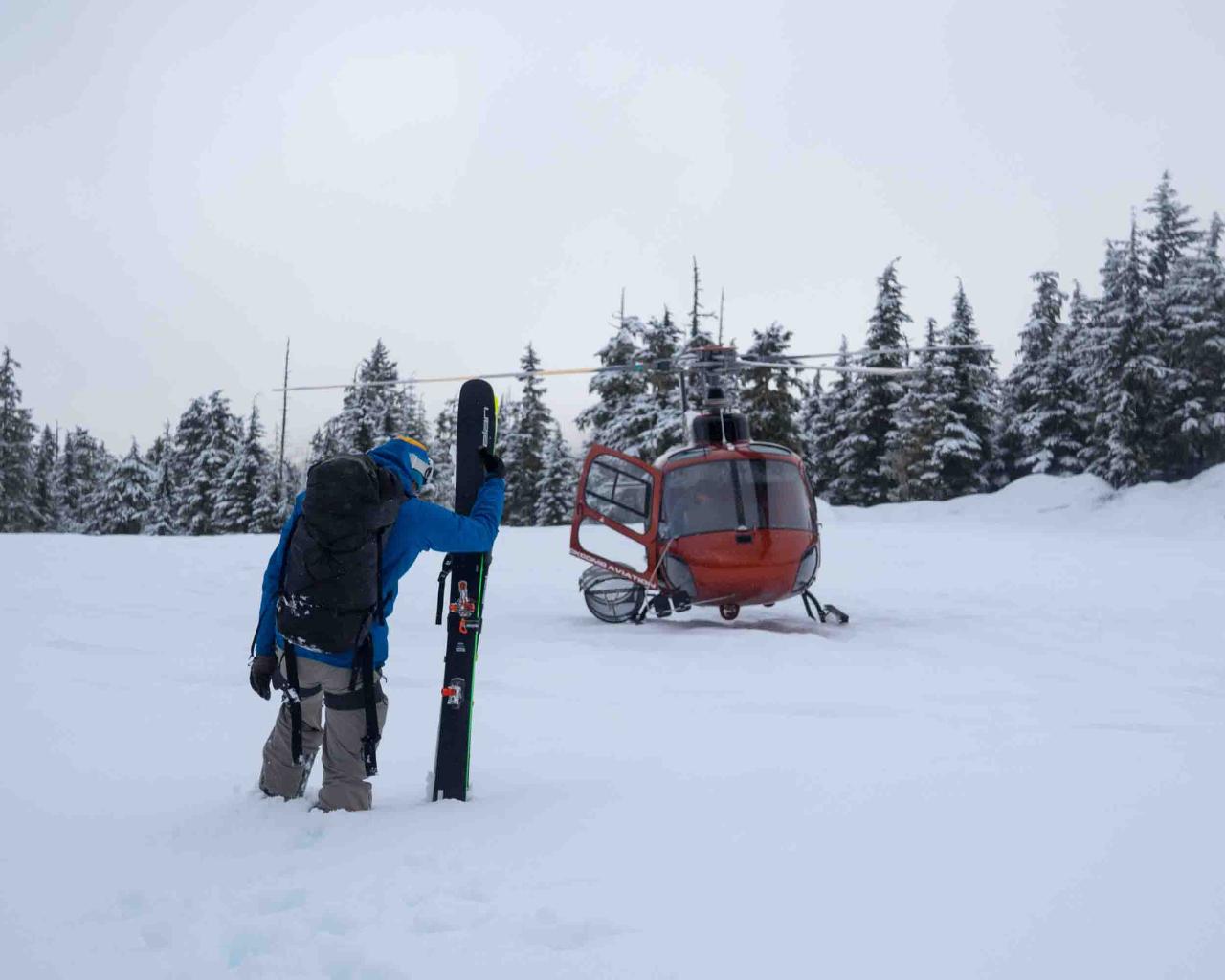 Heli-accessed Ski-touring - Tantalus Range