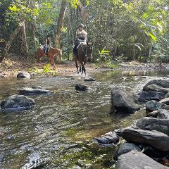 Afternoon Rainforest Creek Ride