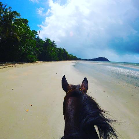 Midmorning Beach Ride